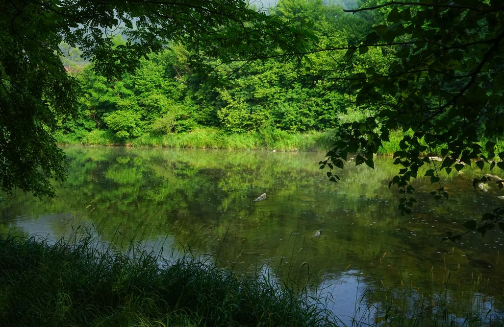 Karolówka Nad Osławą WYJĄTKOWY domek do wynajęcia Czaszyn