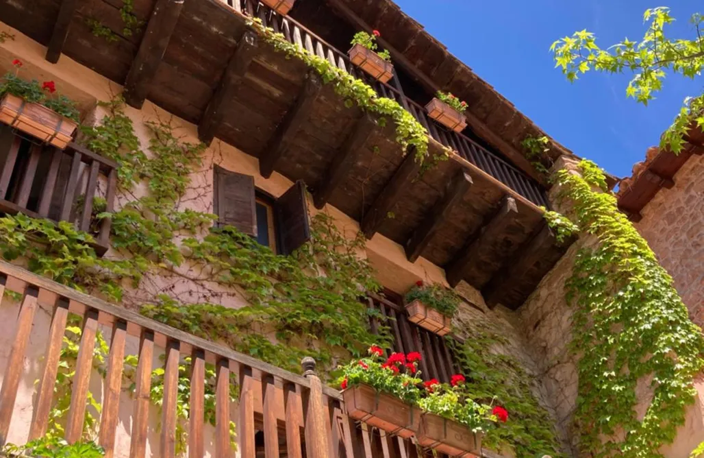 noclegi AlohaCamp La Casa del Bosque 3