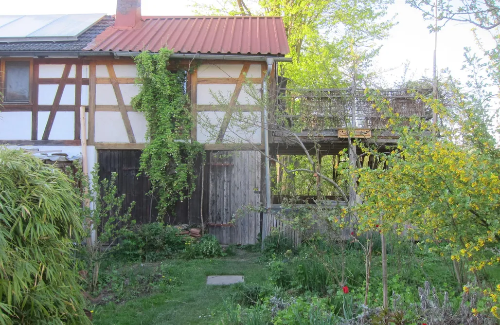 Unterkunft AlohaCamp Vogelhaus 3