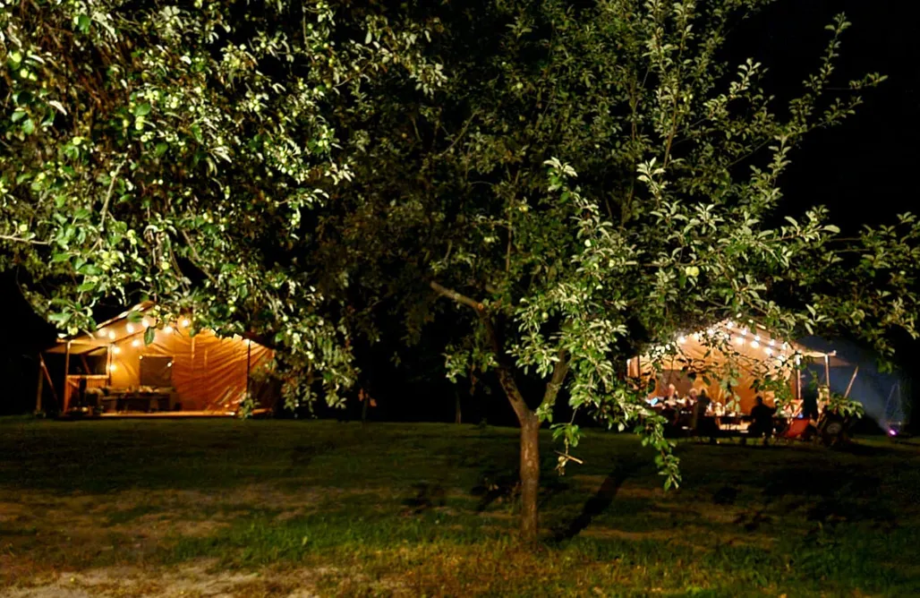 Szczawnica Noclegi z Wyżywieniem Namiot Safari - Forrest Glamp 1