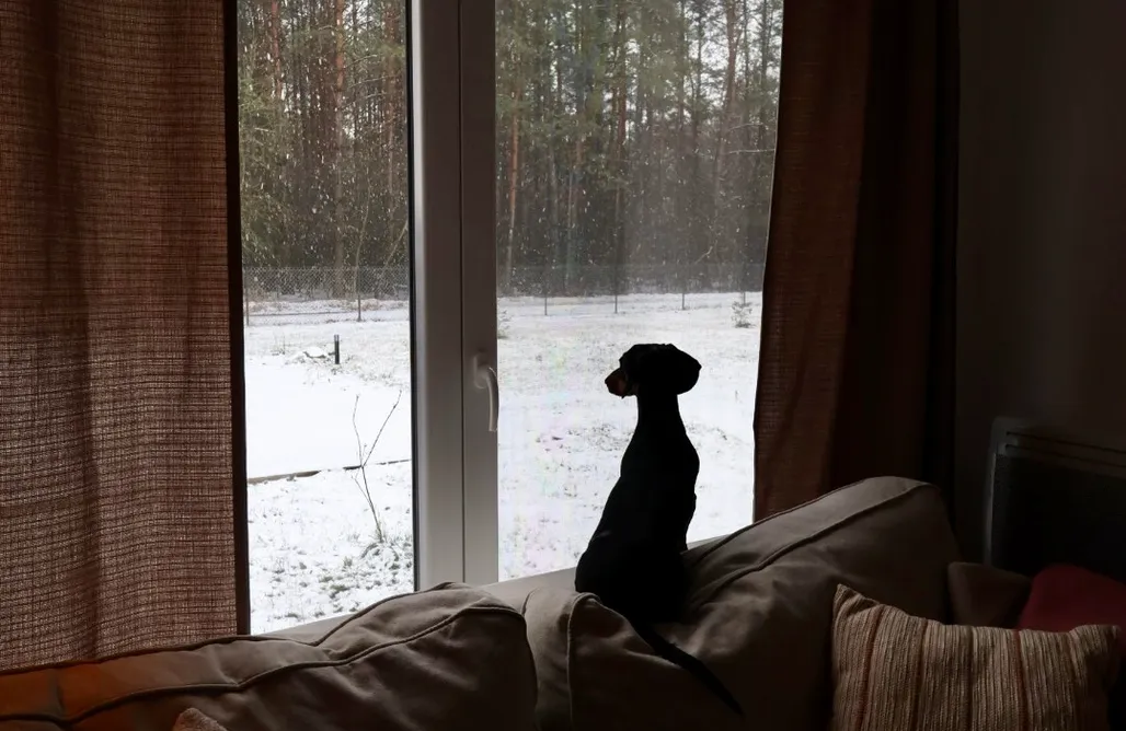 Sochocin Domki MISI domek 1