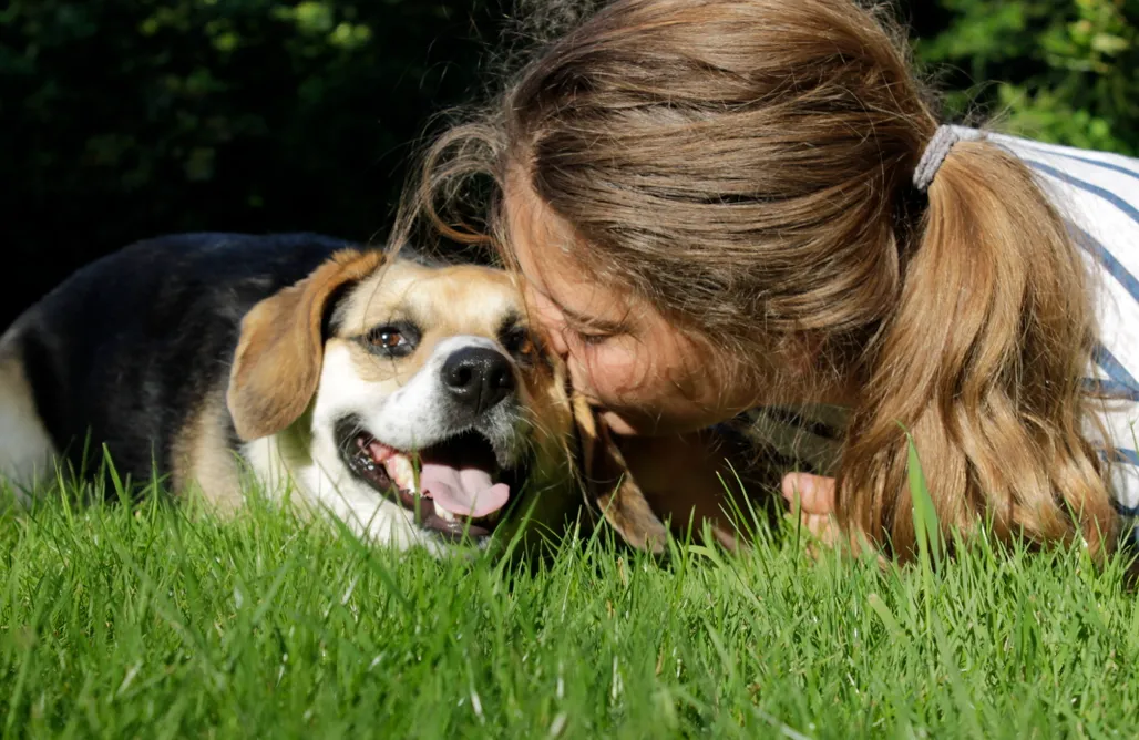 Ferienhaus am See mit privatem Seezugang Blauwe Boshuis mit Sauna 1