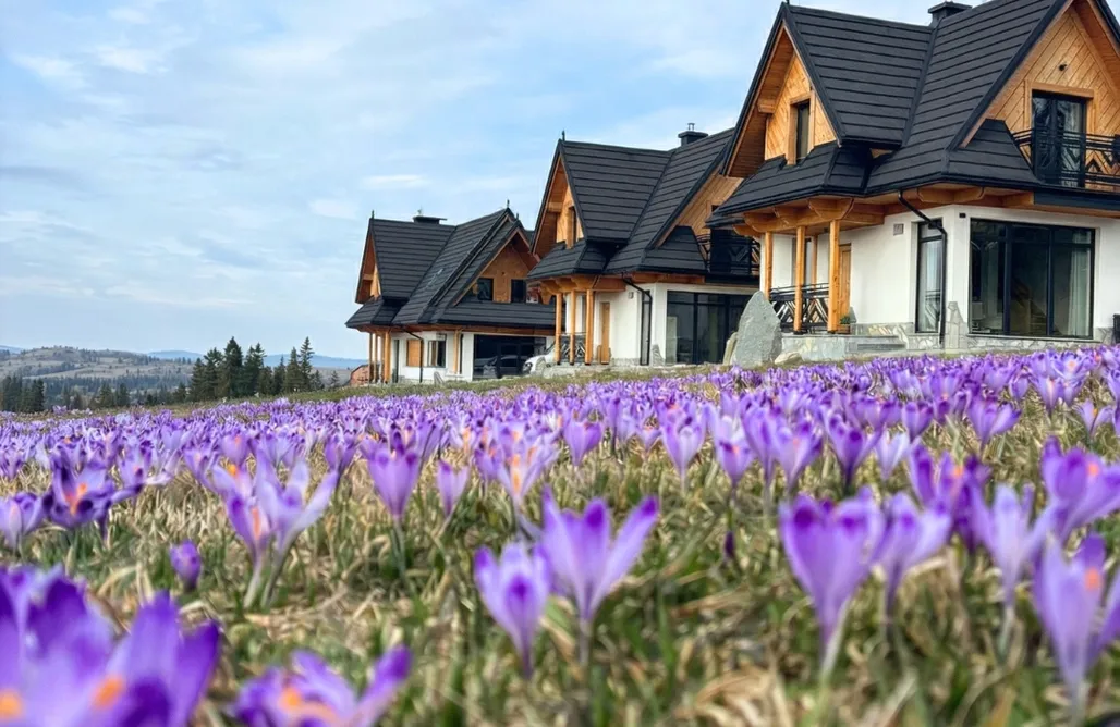 Hańczowa noclegi Tomanova Premium Chalets  2