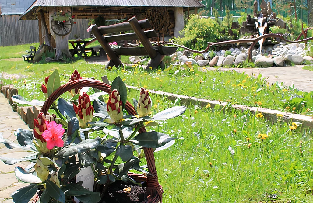 Agroturystyka Tatry Leśna Cisza - Luksusowy Apartament 1