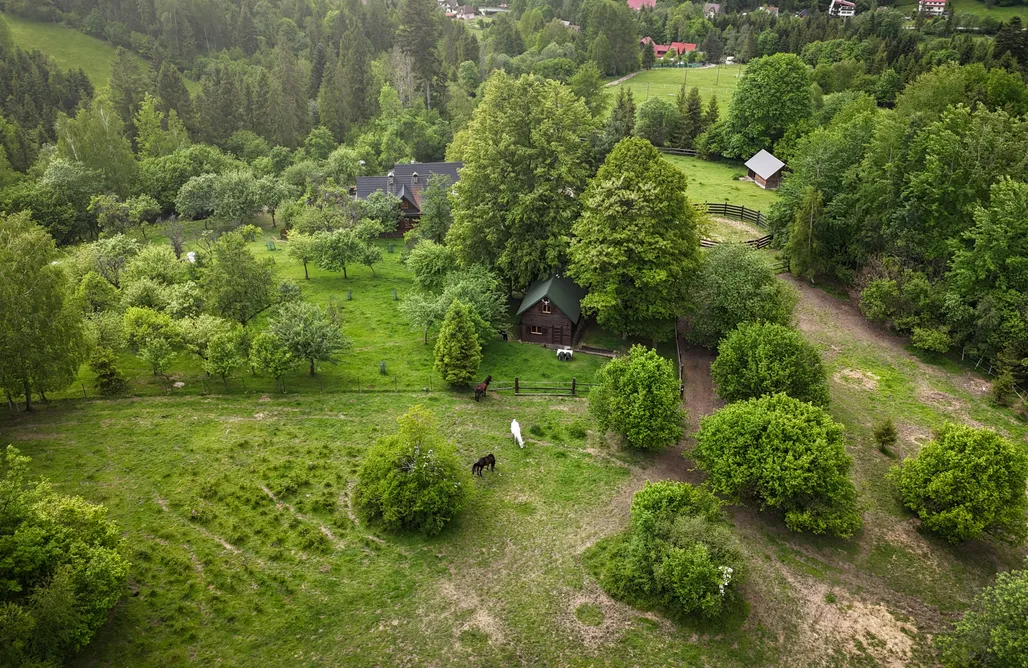 Rajcza Domki Domek myśliwski w górach 3