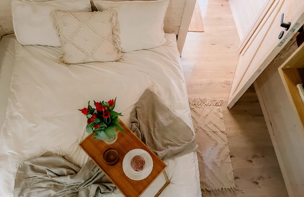 AlohaCamp Into The Forest 2