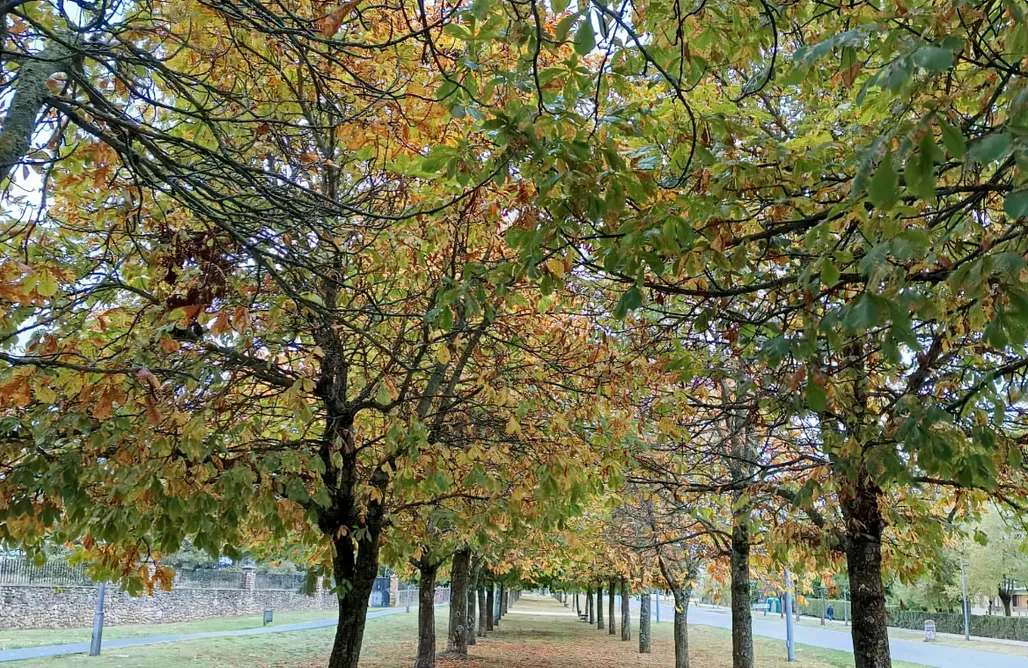 alojamientos AlohaCamp San Benito La Casa de mis Abuelos 5
