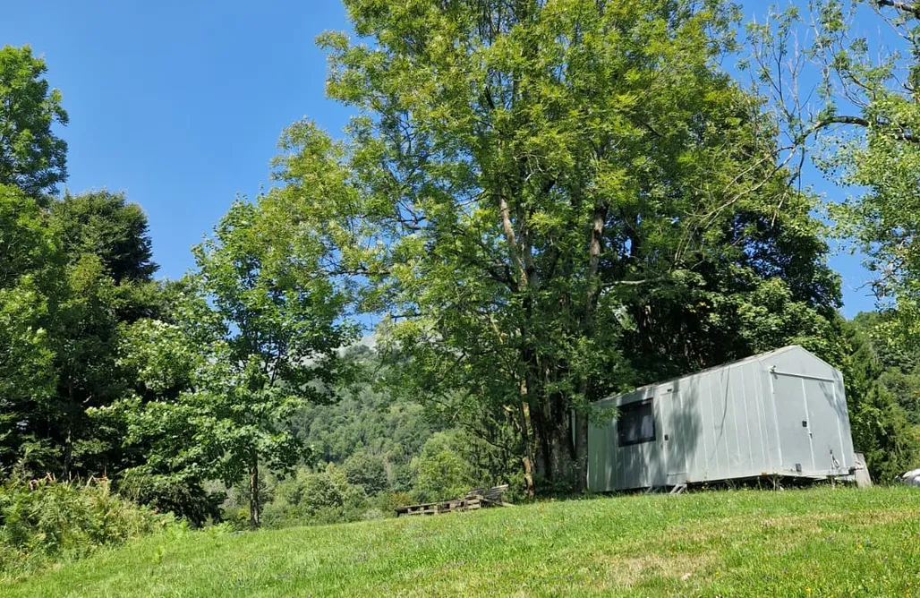 Glamping Venezia Bonis - Nidi nel Bosco 1