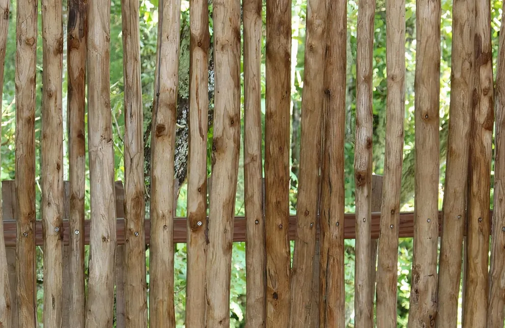 Camping en el País Vasco D'Emilion de Sens 1