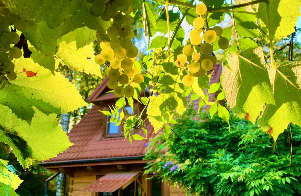 Glamping Nałęczów Dom na zamkowej 3