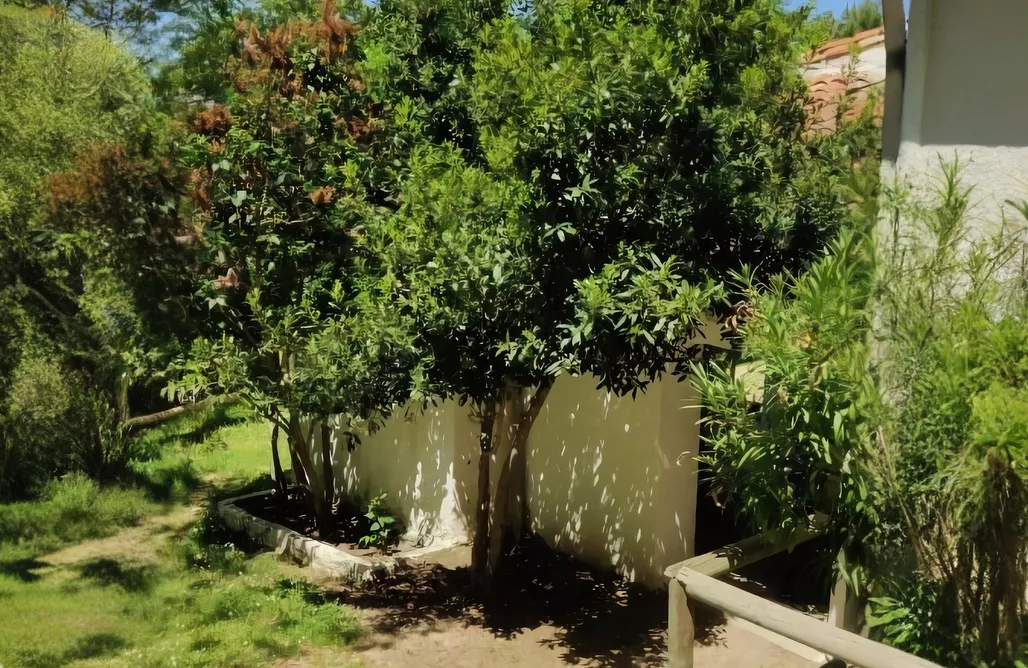 alojamientos AlohaCamp Vivienda turística El Seminario 3