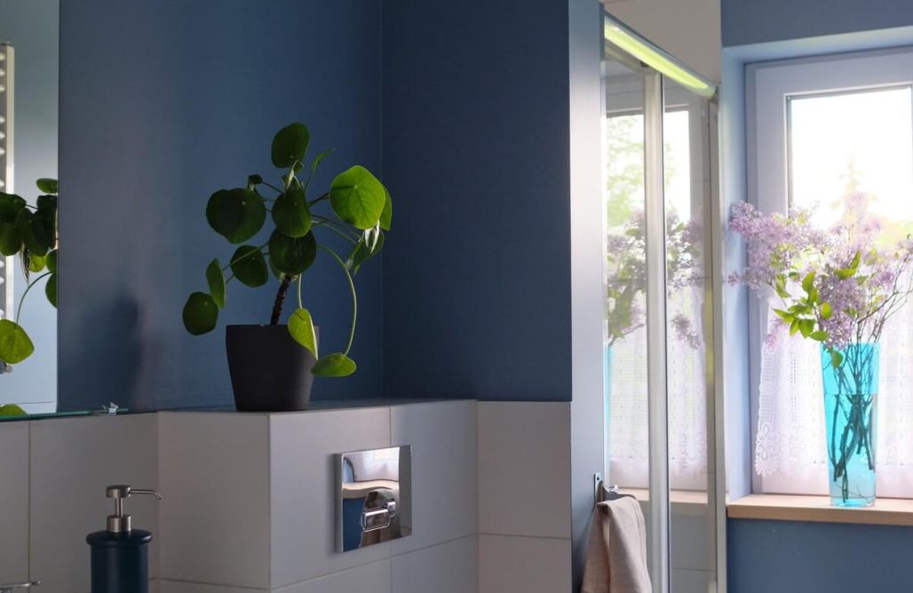 Leśna Domki Izerskie Miejsce 1