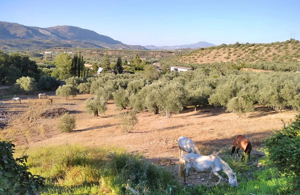 noclegi AlohaCamp Molino Macegal 4