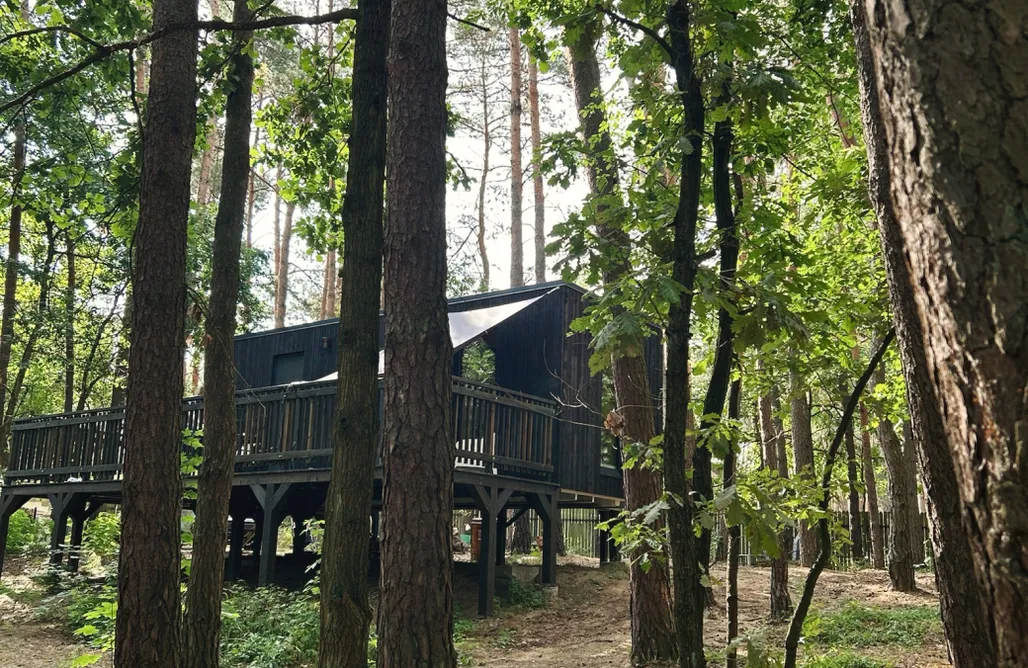 Dziupla Gąsiorowo AlohaCamp