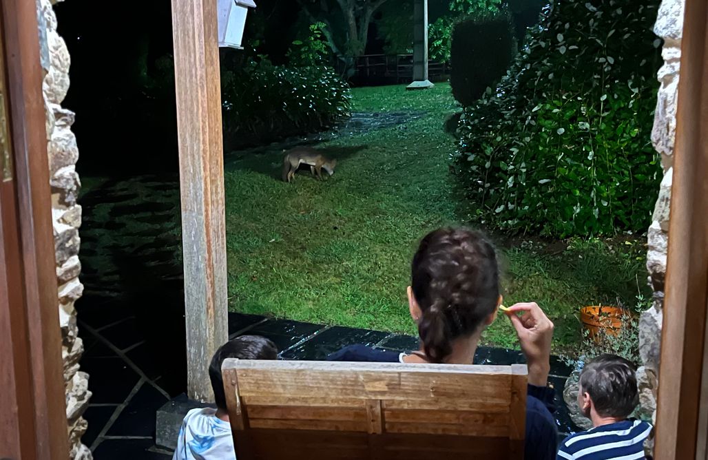 AlohaCamp Habitación O Granero 1