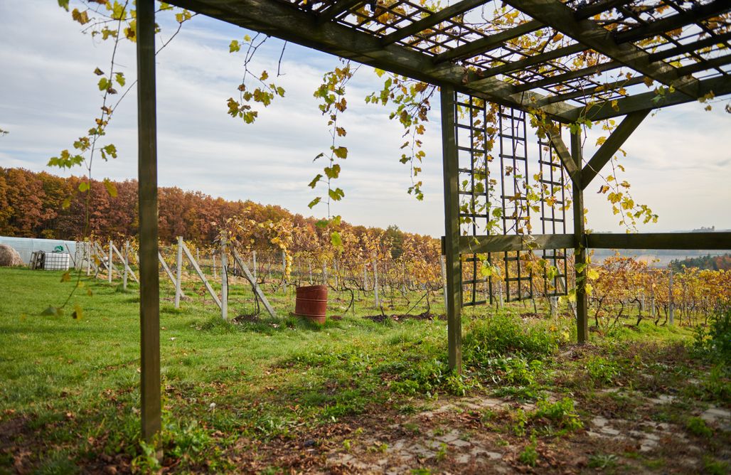 AlohaCamp Miejsce dla kamperów, przyczep lub pod namiot 1