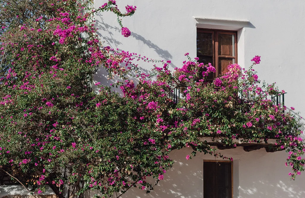 hebergement AlohaCamp Agroturismo Can Pere Sord 3