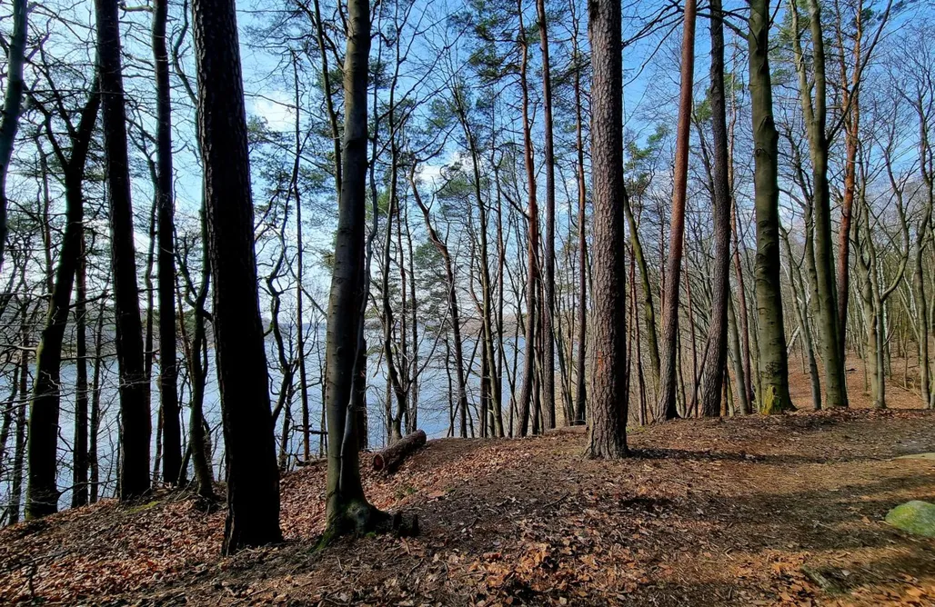 noclegi AlohaCamp Czereśniowy skrzat II 4