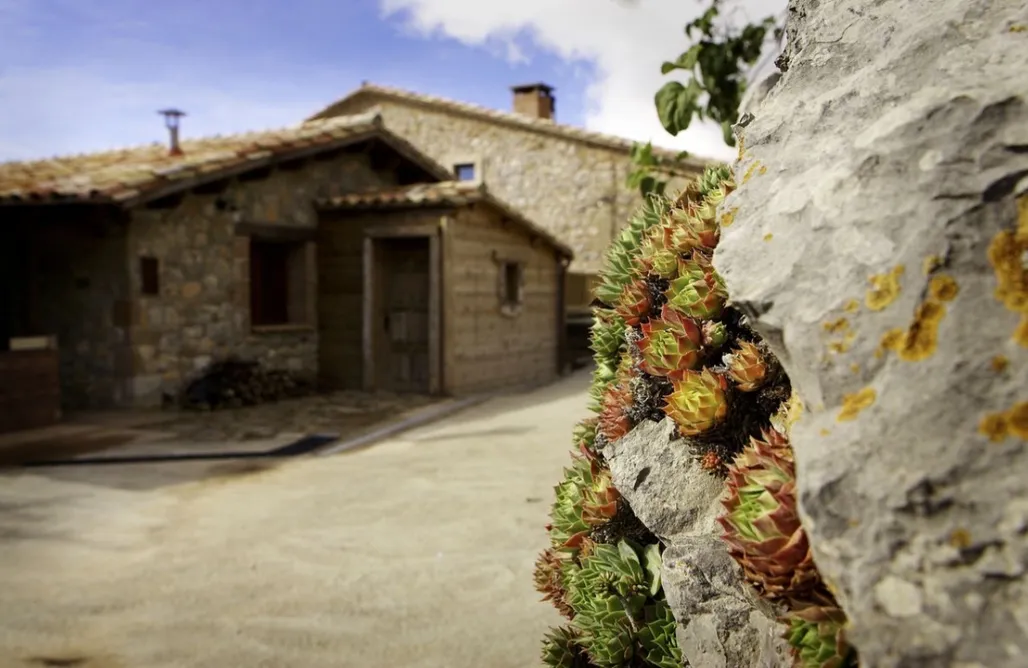 Casas Rurales Los Olivos Masia El Puit  3