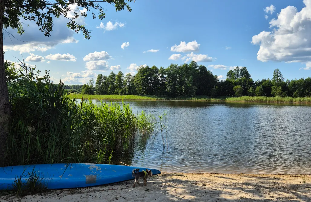 noclegi AlohaCamp Miejsce kamperowe - Pole kempingowe Łasko nad Jeziorem Okrągłe 1