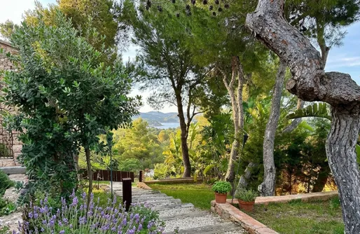 Imagen de Finca Sunset Ananda