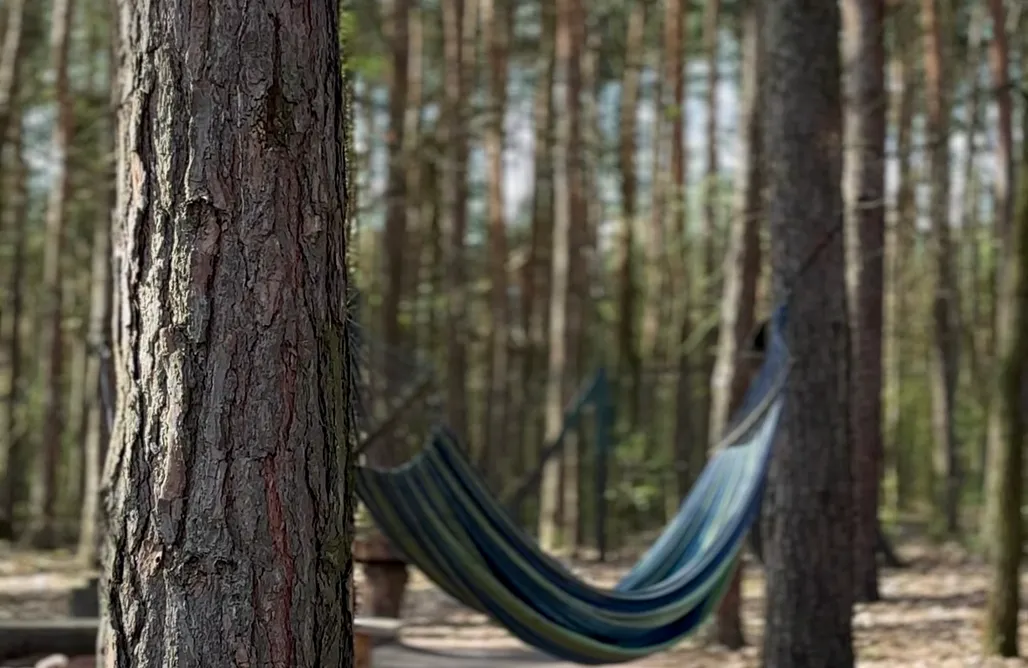 Unterkunft AlohaCamp Leśna Przystań  4