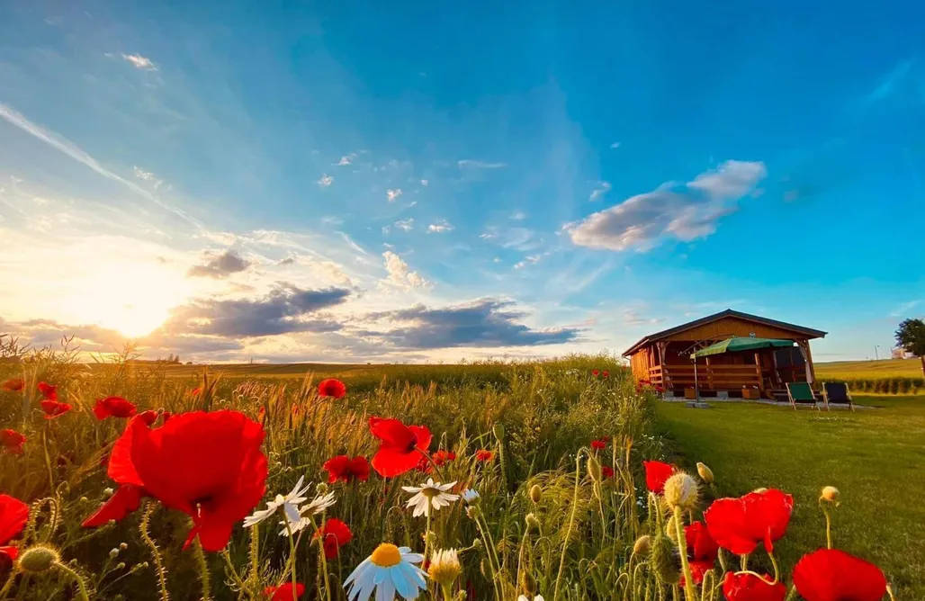 Alloggi AlohaCamp Mazurski Zakątek Skarlin 4