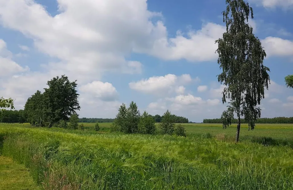 Jezioro Białe Nocleg Miejsce kamperowe - Gospodarstwo rodzinne 1