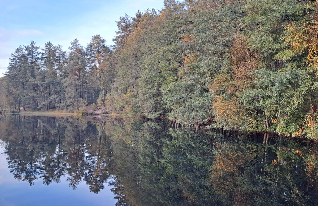 Domki Kąty Rybackie Agroturystyka na Kaszubach Poczuj (S)pokój 1