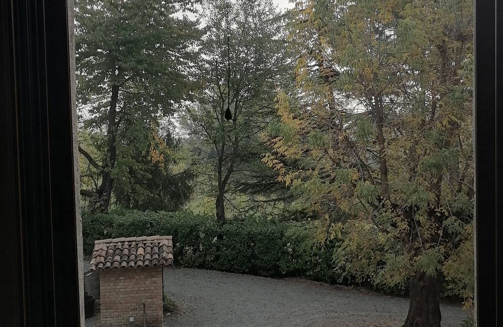 AlohaCamp Matrimoniale con vista su cortile 1