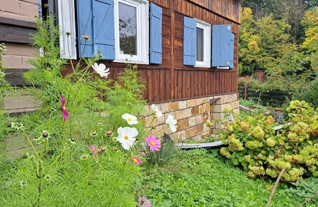 Chronów Domki Zouza Forest Retreat 2