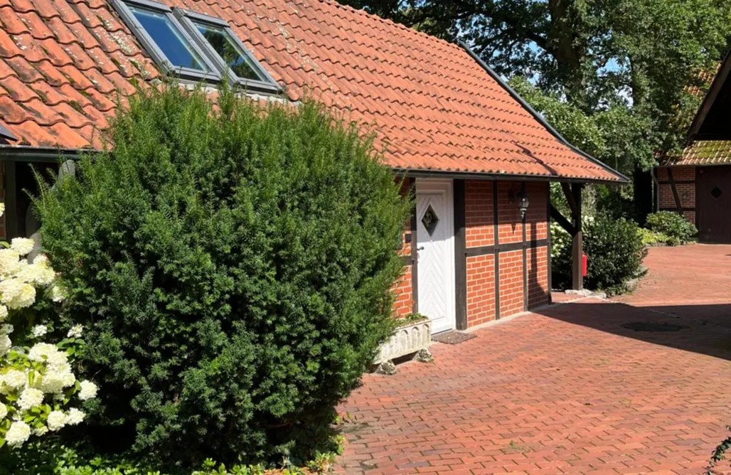 Ferienhaus Nordsee mit Hund Ferienhaus in Rumke 2