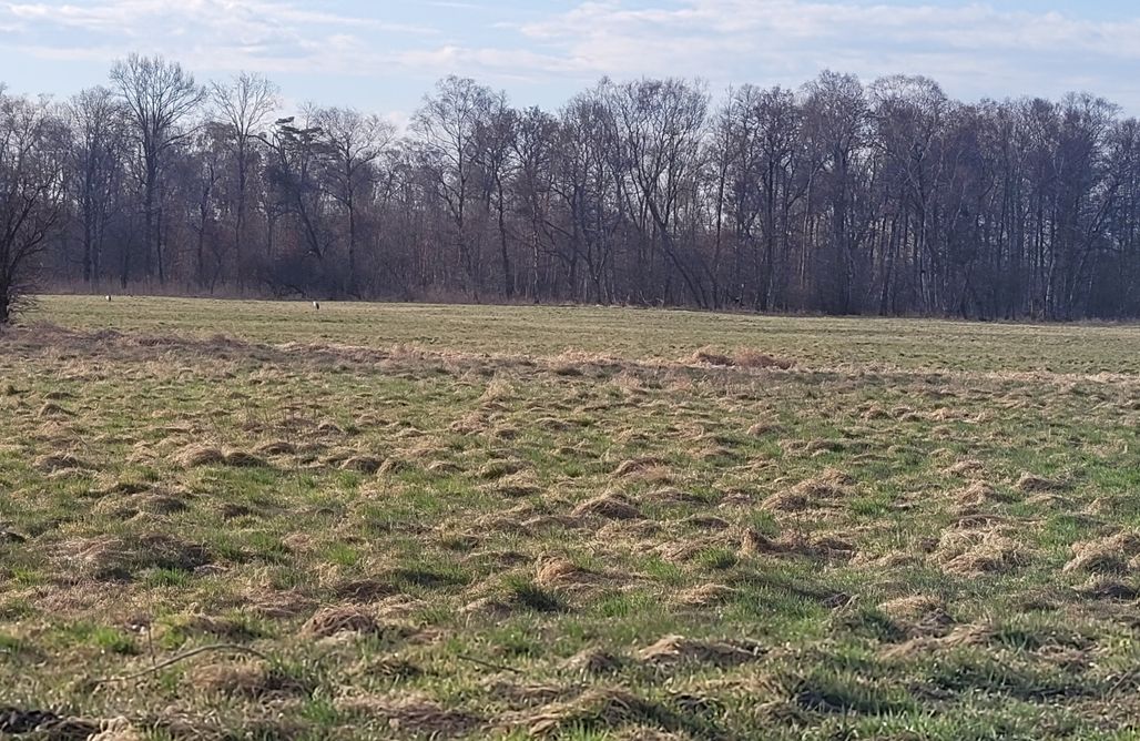 Unterkunft AlohaCamp Miejsce kamperowe - Ostoja spokoju 1