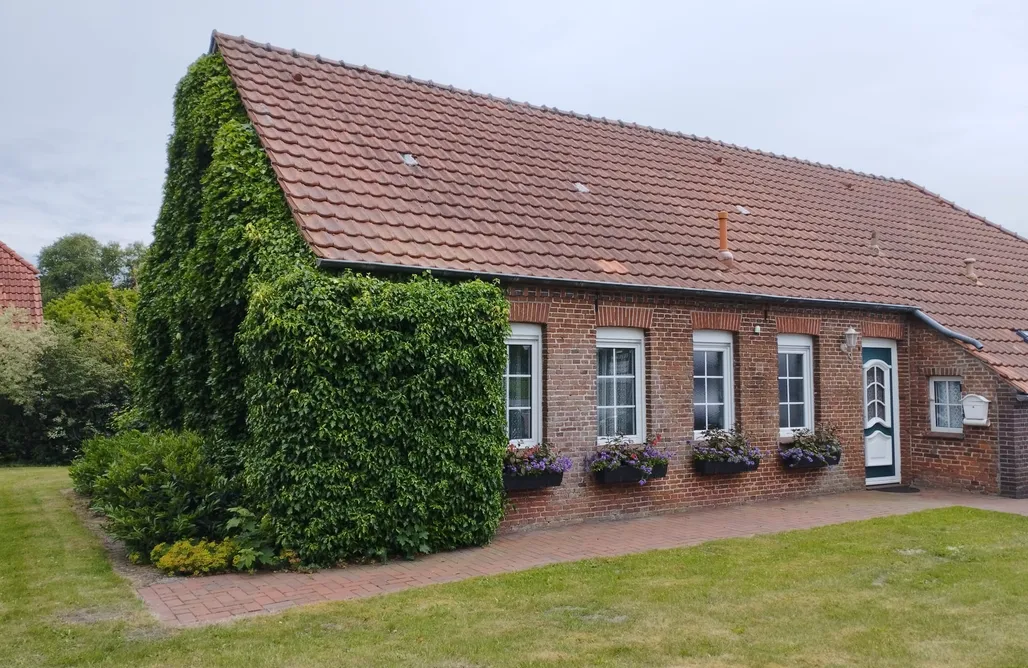 Ferienhaus direkt am Strand Ferienhaus Schenum 2