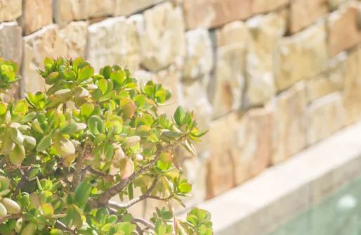 Imagen de Gaudir La Terra Casa oasis de relax