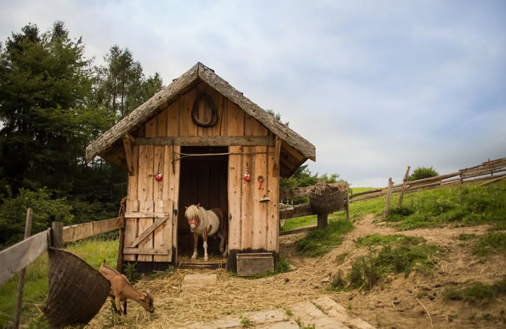 noclegi AlohaCamp Pieninskie Herbarium dobre samopoczucie Osada nad Babieńskim Potockiem 5