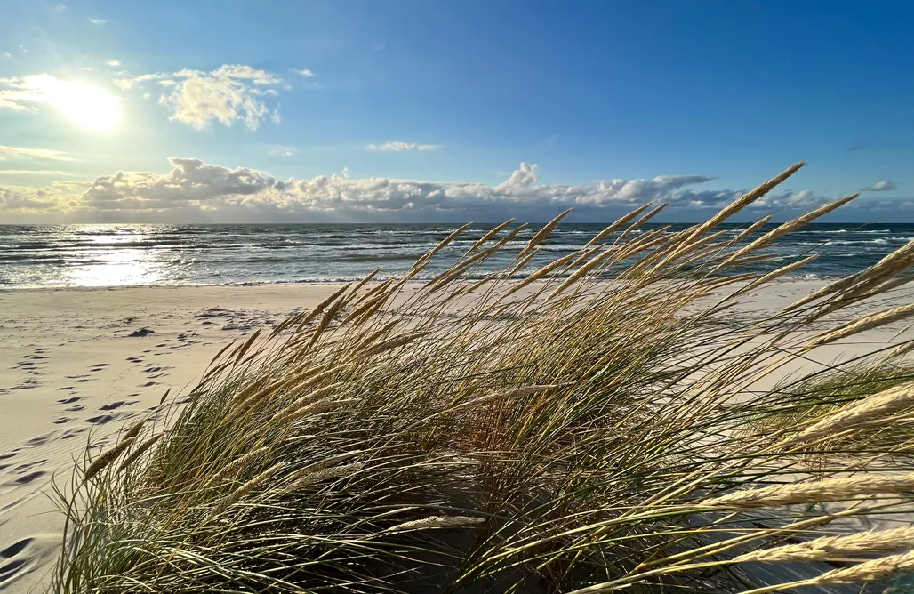 noclegi AlohaCamp Slow Cabin 1