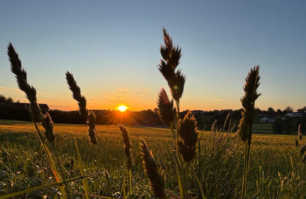 Tylko w AlohaCamp.com 🌞 Stava domy wypoczynkowe 1