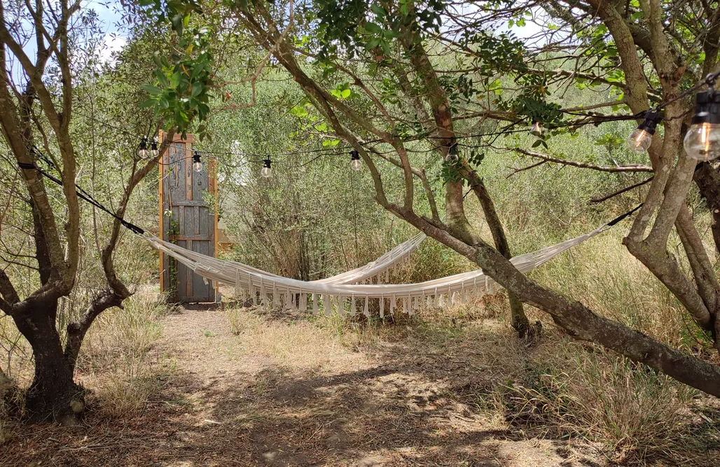 AlohaCamp Pimienta 1