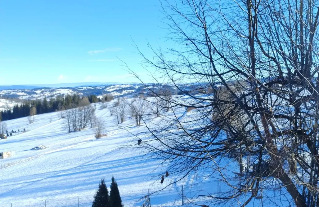 noclegi AlohaCamp Halne Izby - Pokoje Gościnne 4