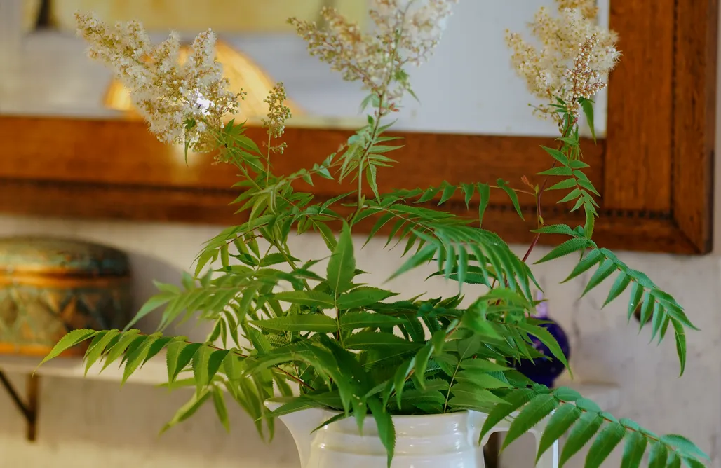 AlohaCamp Leśne Piętro 4