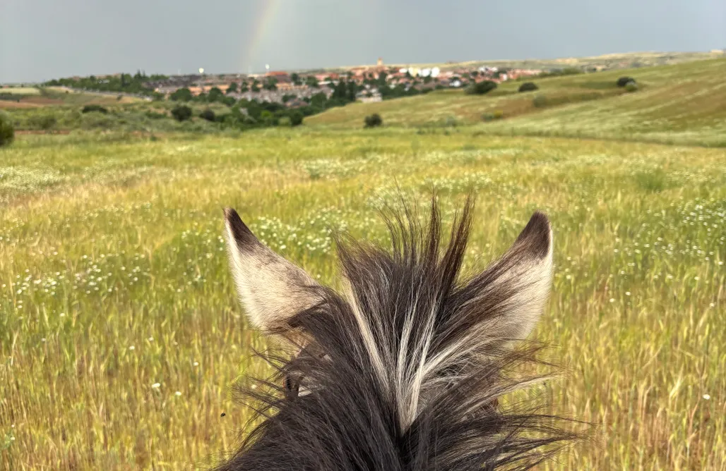Hébergement AlohaCamp Claro de Luna dom - LUNA 2 - Domo de diseño en plena naturaleza  1