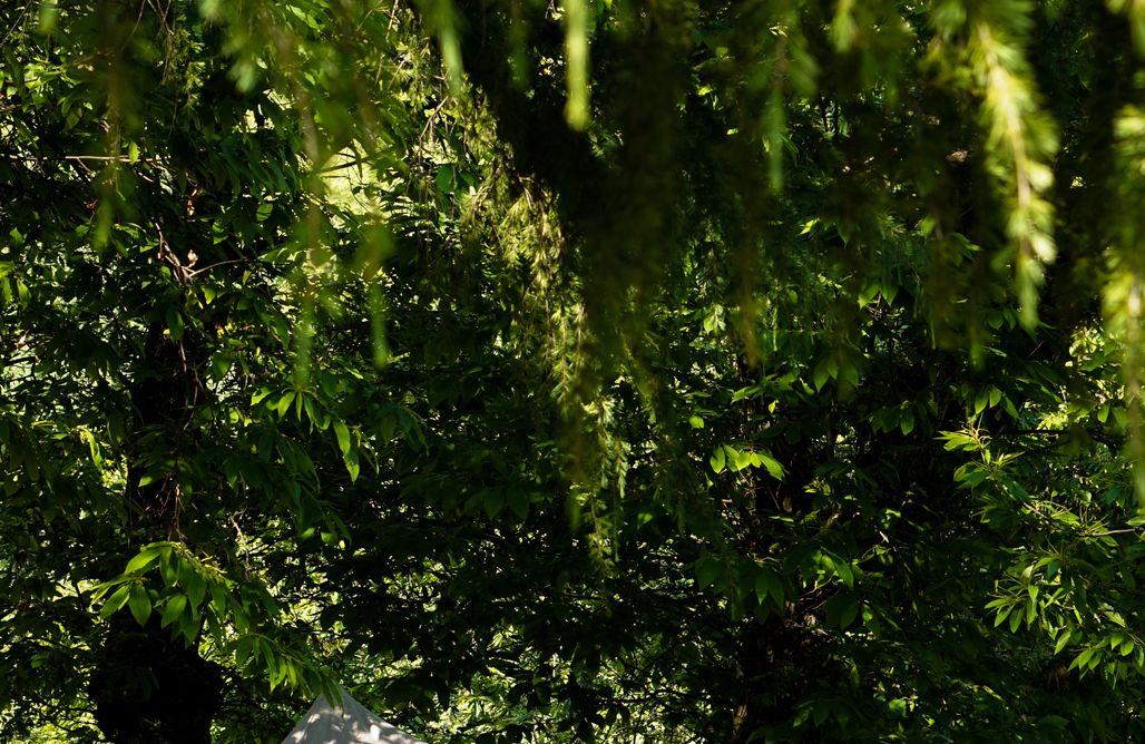 AlohaCamp Tenda Sahara 4