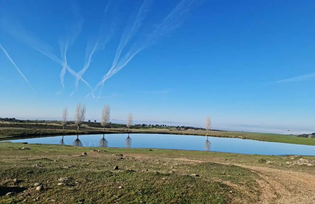 alojamientos AlohaCamp Chozos Las Flores de la Dehesa 1