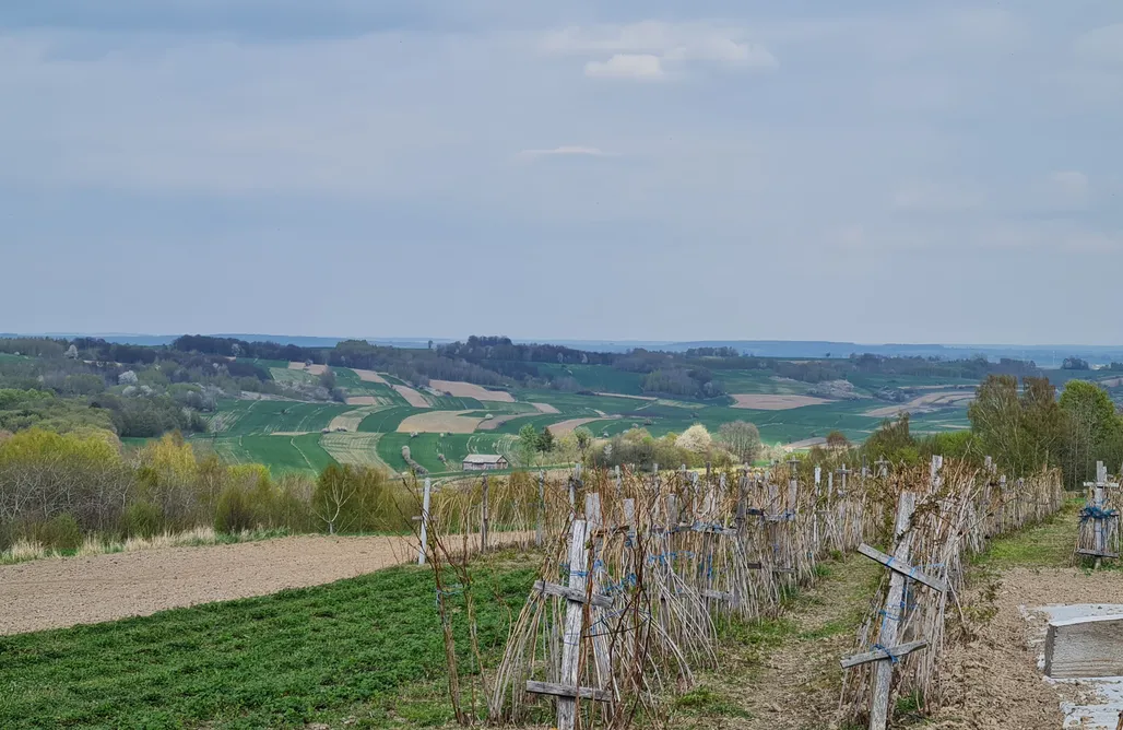 noclegi AlohaCamp Loft Gilów 1