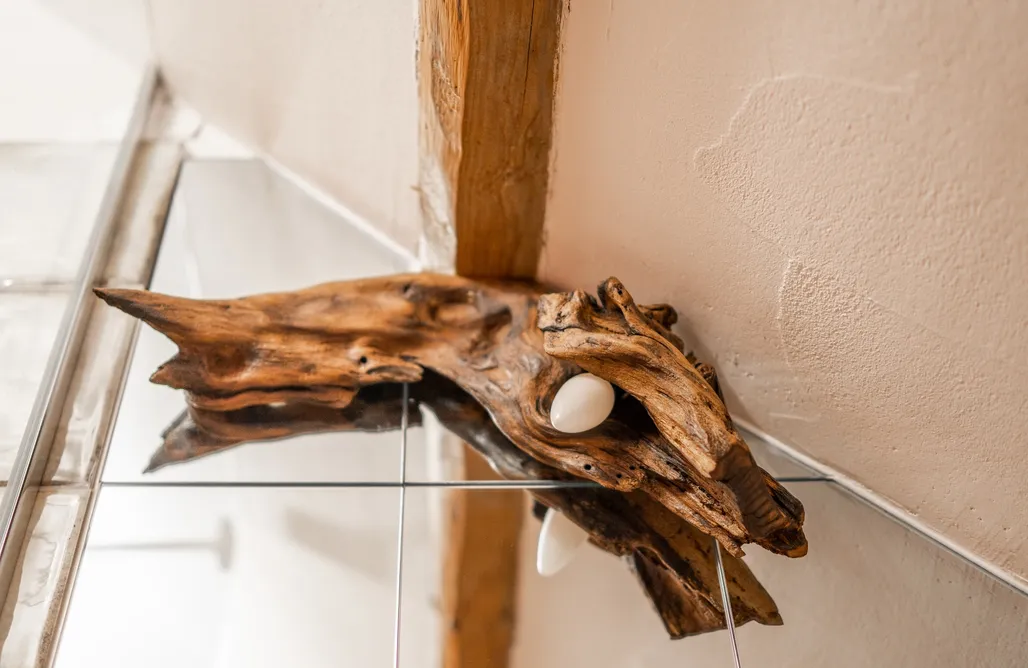 AlohaCamp W Malinowym Chruśniaku 4