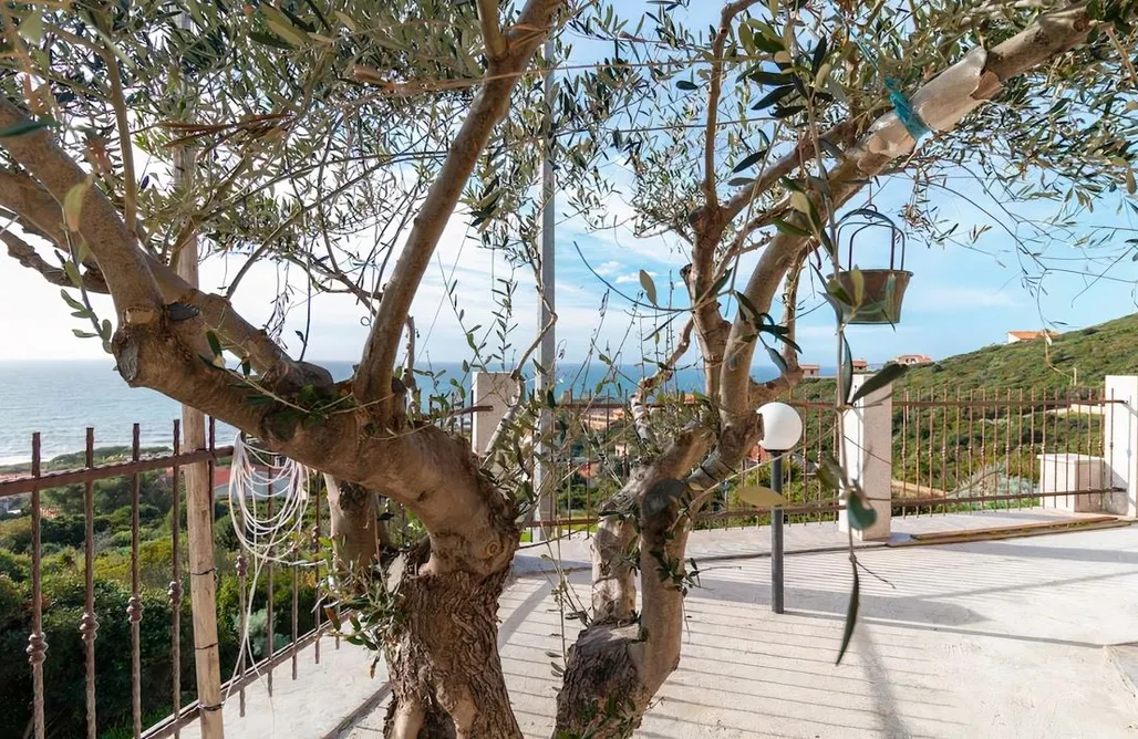 alojamientos AlohaCamp La Rosa dei Venti-Villa Angela Panoramic 4