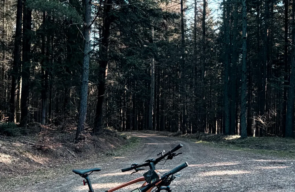 noclegi AlohaCamp Widok Palesnica  1