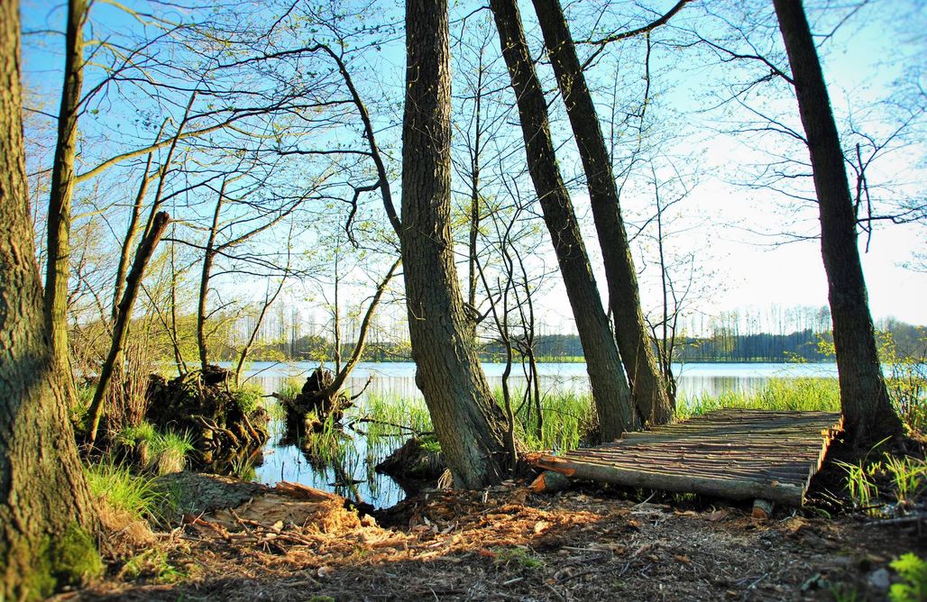 AlohaCamp Miejsce pod kampera lub namiot 4