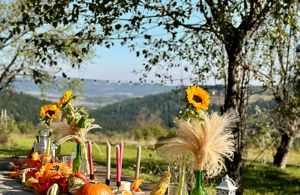 Jaśkowe Pole Glamping AlohaCamp